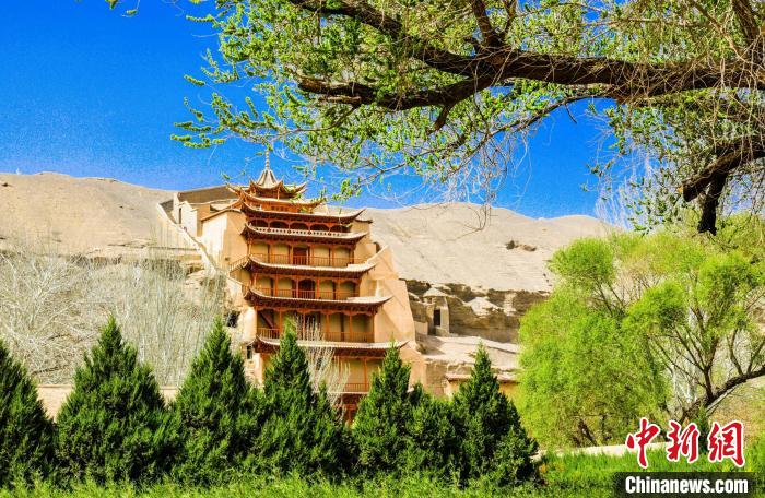 甘肅敦煌檢方督促防護林?jǐn)鄮аa植已補種逾13萬株樹木