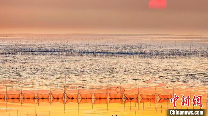 江蘇鹽城被譽(yù)為金灘銀蕩、魚米之鄉(xiāng)?！←}城市委宣傳部供圖