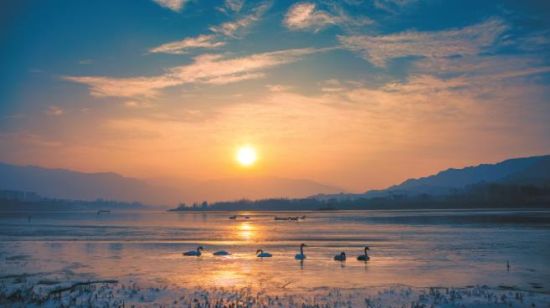 黃河冬之晨。