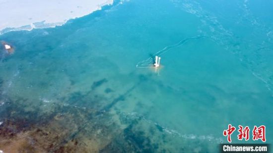 圖為冬日青海湖?！±罱瓕帯z