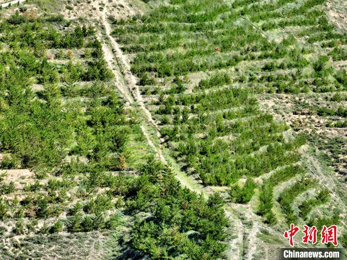 航拍建行青海省分行綠化區(qū)?！∑钤鲚?攝