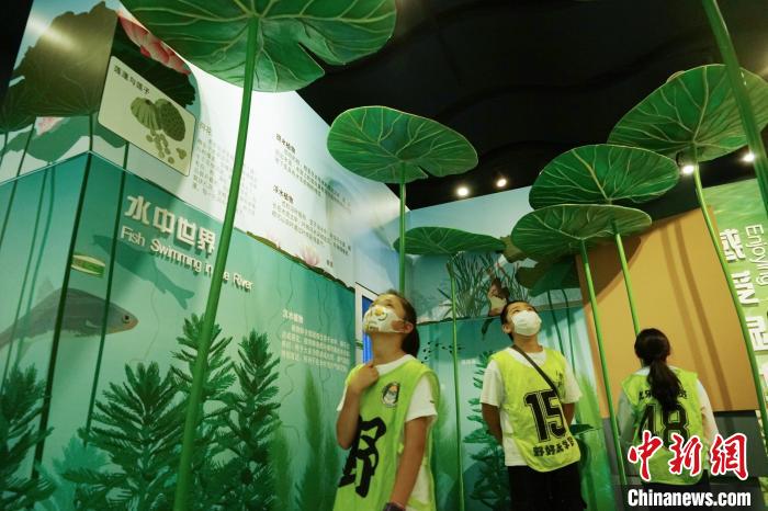 圖為小朋友在青海西寧湟水國家濕地公園科普館內(nèi)參觀學(xué)習(xí)?！●R銘言 攝