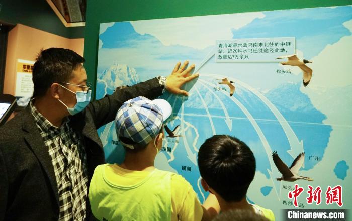 圖為小朋友在青海西寧湟水國家濕地公園科普館內(nèi)參觀學(xué)習(xí)。　馬銘言 攝