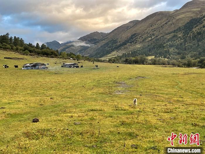 圖為9月27日新沾牧場的早晨景色。 <a target='_blank' href='/'><p  align=