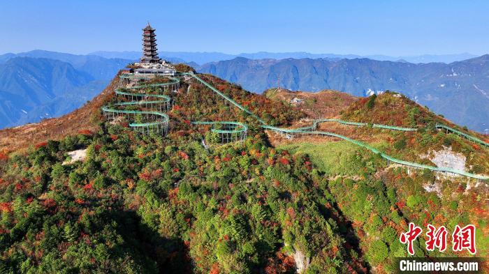 巴山大峽谷彩林迎來最佳觀賞期?！∫κ?攝