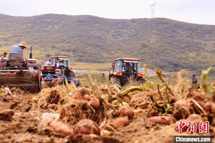 青海東部農(nóng)業(yè)區(qū)：“一分川、一分水、八分山”里“刨金記”