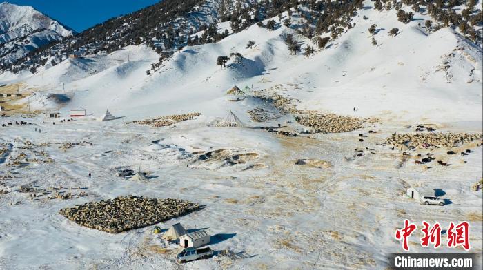 圖為無人機(jī)航拍牧場。　都蘭縣融媒體中心供圖