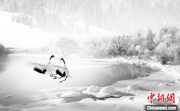 圖為焦生福的作品《鶴嬉雪林》?！∏嗪Ｊ∑钸B山自然保護協(xié)會供圖