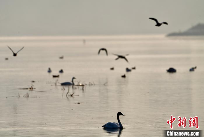 青海自然資源領域：構建具有青藏高原特色生態(tài)產品價值實現(xiàn)路徑