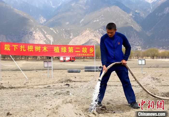林芝市巴宜區(qū)森林消防中隊(duì)志愿服務(wù)隊(duì)澆水灌溉?！∥骼@拉翁 攝