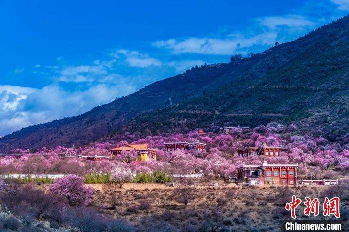 美麗的鄉(xiāng)村畫卷?！『涡秀?攝