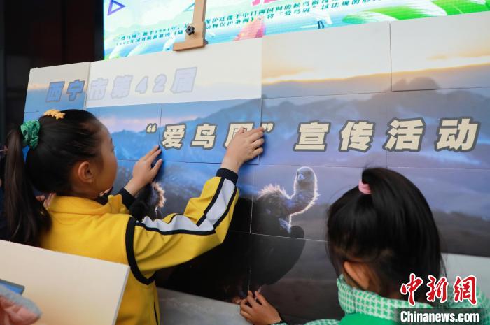 圖為學(xué)生通過拼圖游戲了解鳥類知識?！●R銘言 攝