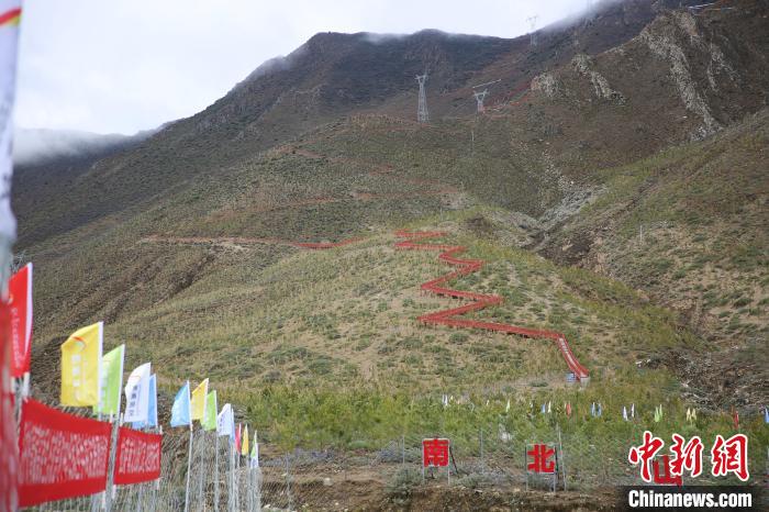 圖為拉薩南北山綠化工程拉薩曲水縣才納村5號(hào)片區(qū)?！∝暣_ 攝