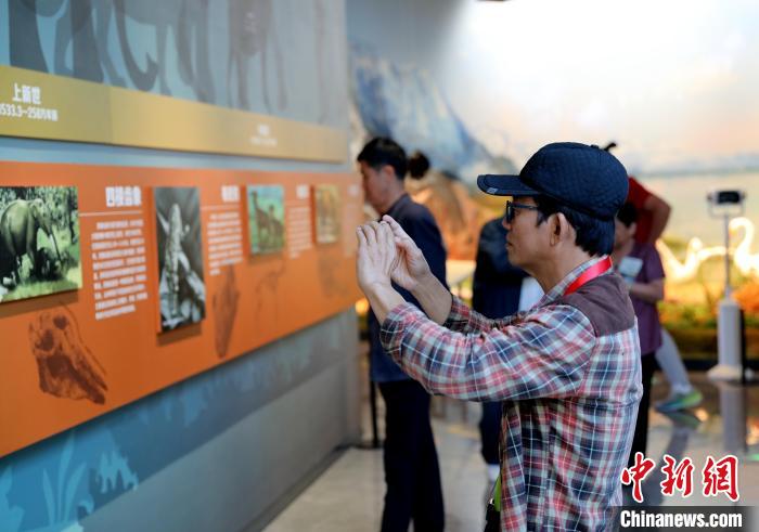 圖為臺(tái)商在祁連山國家公園生態(tài)科普館觀看墻面藝術(shù)圖文?！⊙Φ?攝