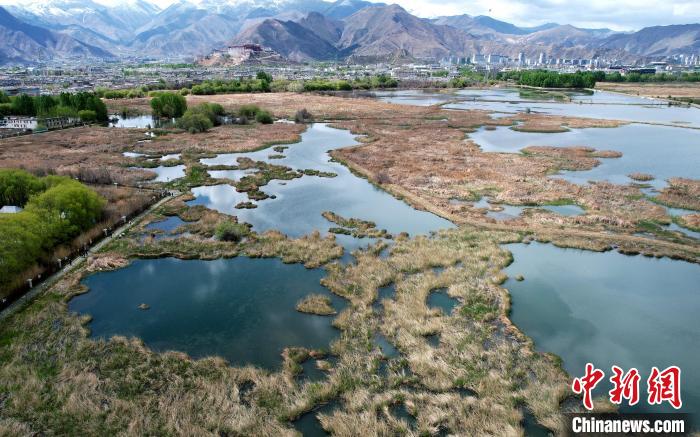圖為拉薩拉魯濕地。(無人機照片) 李林 攝