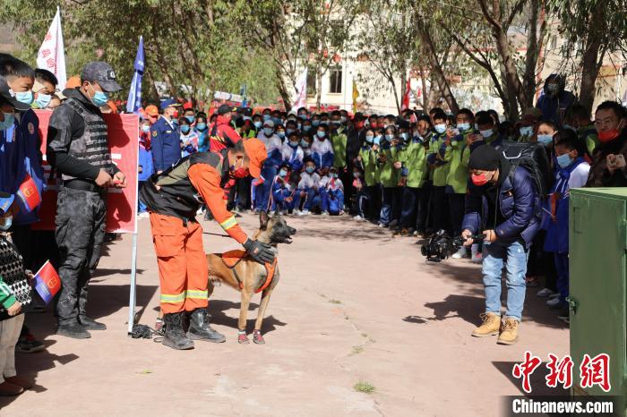 圖為搜救犬服從和箱體搜救演練?！≮w琳 攝