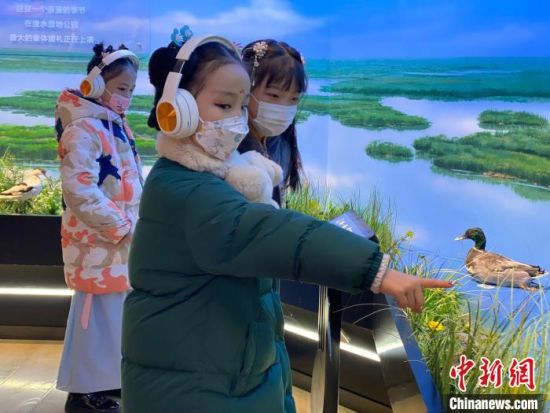 圖為學(xué)生在西寧市第一中學(xué)濕地科普宣教館內(nèi)參觀?！±罱瓕?攝