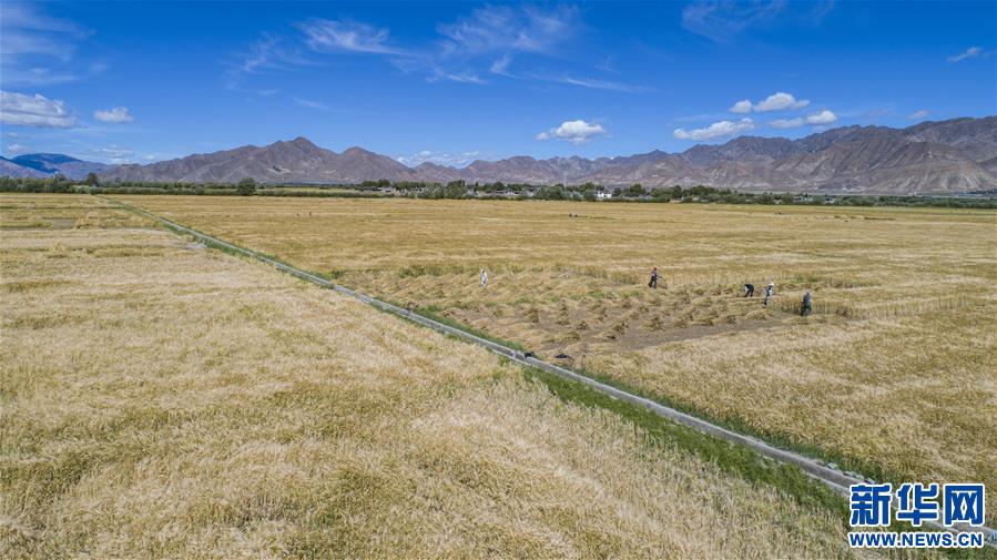 （新華全媒頭條·走向我們的小康生活·圖文互動(dòng)）（11）扎西德勒，我們的新家園——西藏易地扶貧搬遷搬出幸福美好新生活