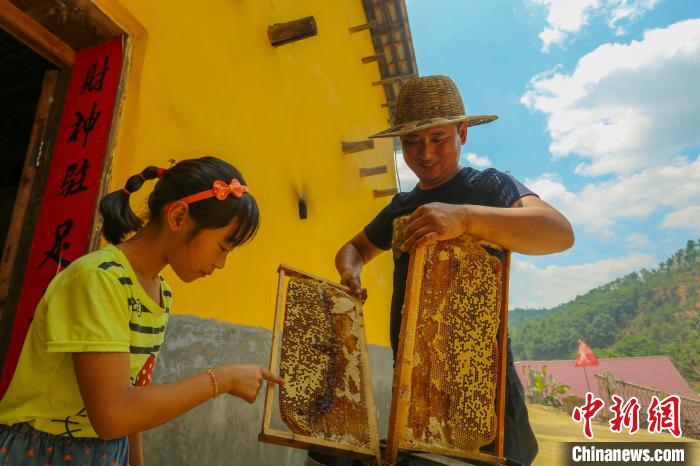“甜蜜產業(yè)”讓全村致富有奔頭。洲湖鎮(zhèn)供圖