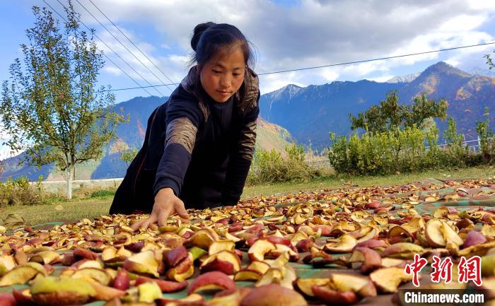 圖為通麥村村民巴桑拉姆晾曬切片蘋果?！∝暽＠?攝