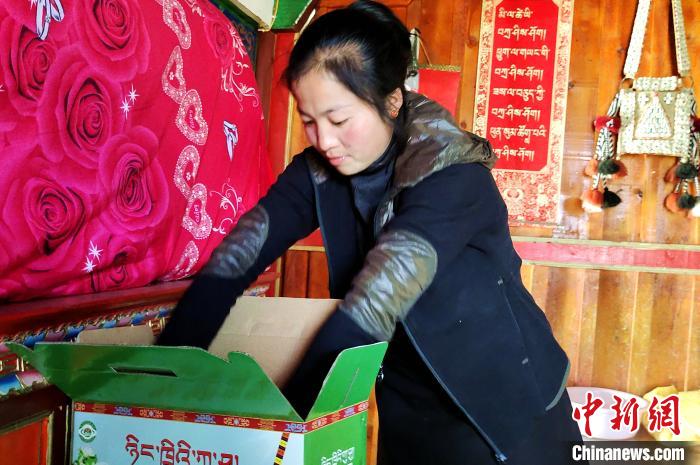 圖為通麥村村民巴桑拉姆把精心挑選的蘋果裝箱?！∝暽＠?攝