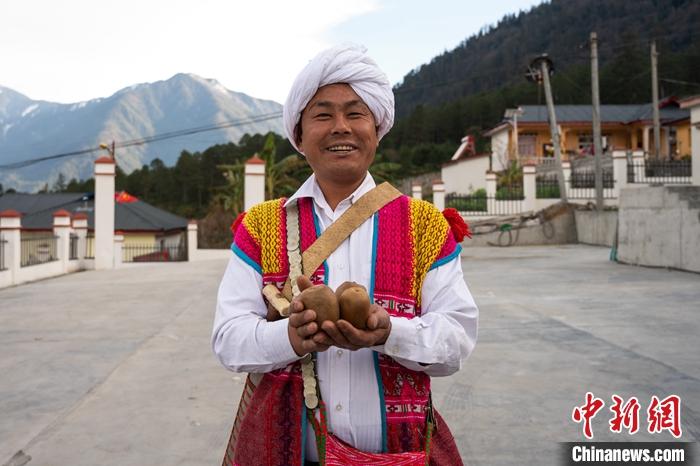 1月29日，京都村委會主任阿胖正在展示該村種植的獼猴桃。<a target='_blank' ><p  align=