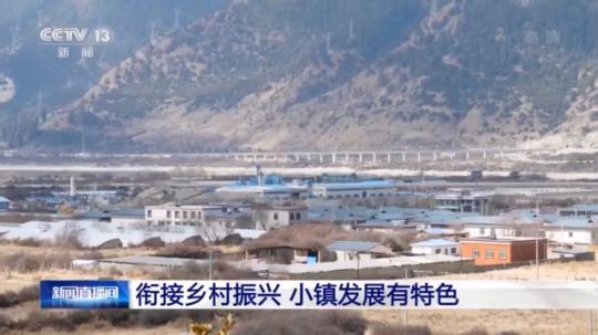 種蘑菇、養(yǎng)駱駝...。。特色產(chǎn)業(yè)助力鄉(xiāng)村振興走新路