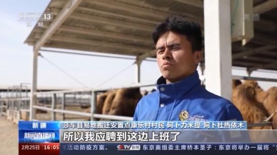 種蘑菇、養(yǎng)駱駝...。。特色產(chǎn)業(yè)助力鄉(xiāng)村振興走新路