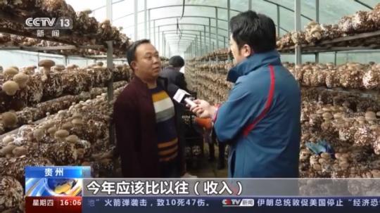 種蘑菇、養(yǎng)駱駝...。。特色產(chǎn)業(yè)助力鄉(xiāng)村振興走新路