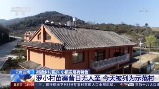 種蘑菇、養(yǎng)駱駝...。。特色產(chǎn)業(yè)助力鄉(xiāng)村振興走新路