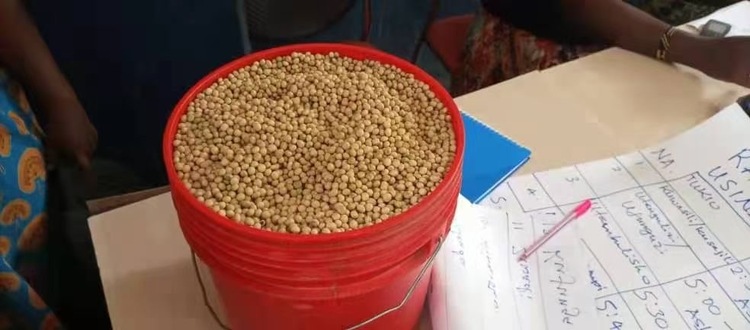 資訊有故事丨小豆子大營(yíng)養(yǎng) 坦桑尼亞民眾愛上“中國(guó)飲料”