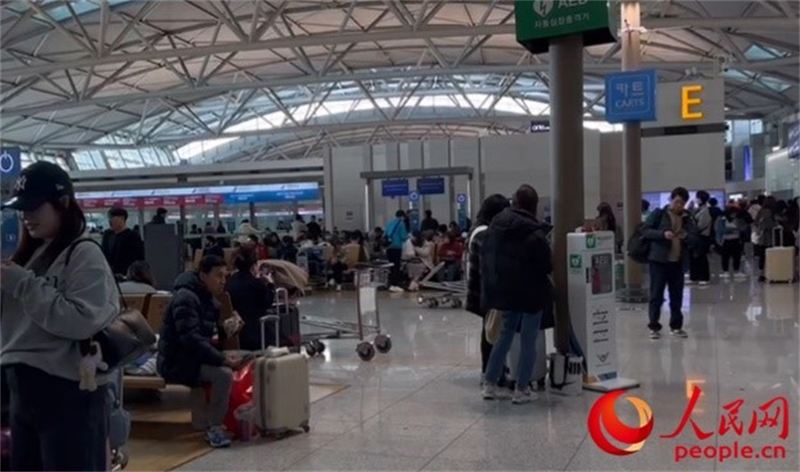 11月29日，繁忙的仁川機場。人民網(wǎng) 李帆攝