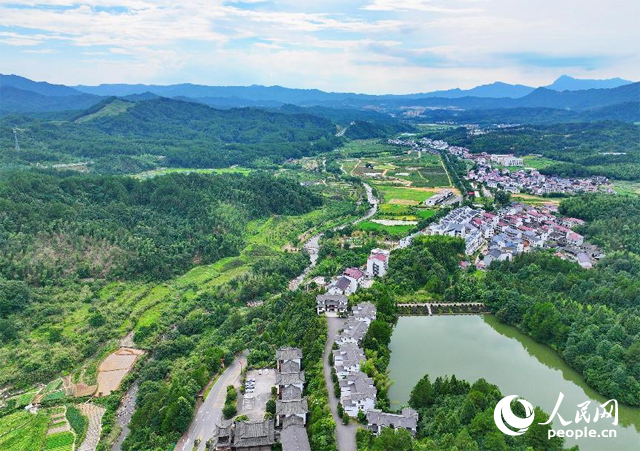 資溪縣森林資源豐富，森林覆蓋率達(dá)87.7%，有林地資源168萬(wàn)畝。人民網(wǎng) 朱海鵬攝