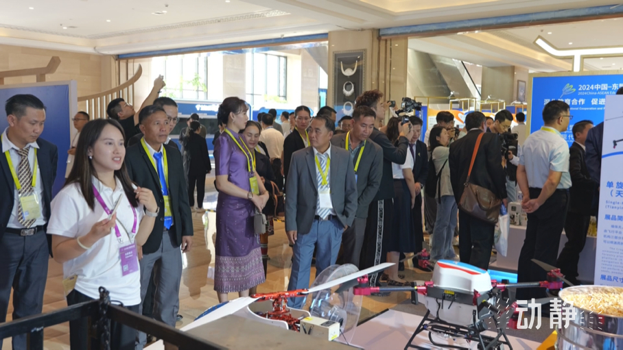 展示成果分享經(jīng)驗，中國—東盟教育交流周深化合作共創(chuàng)未來！