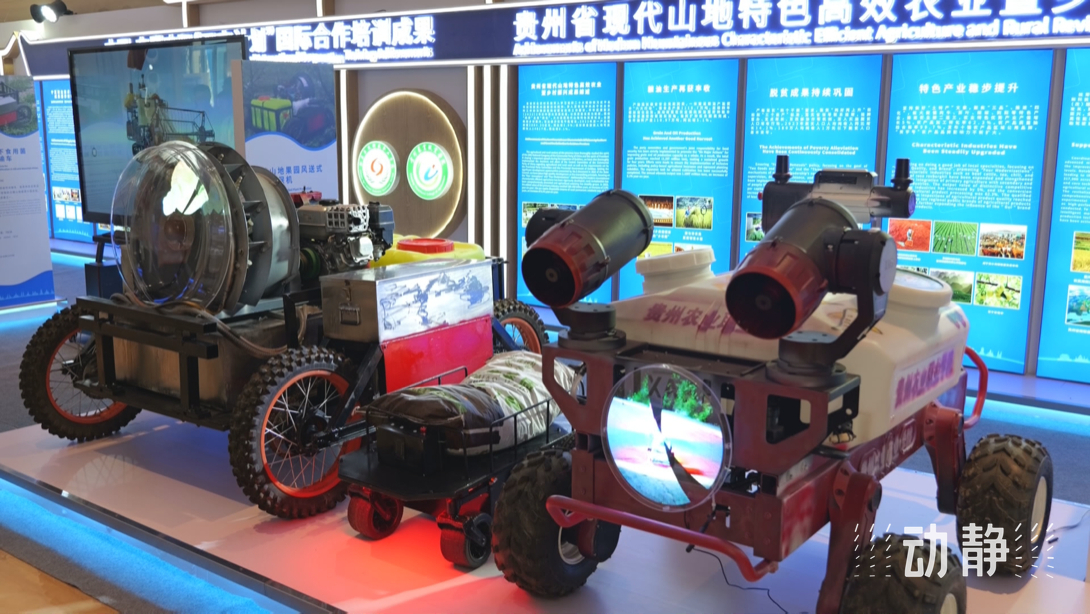 展示成果分享經(jīng)驗，中國—東盟教育交流周深化合作共創(chuàng)未來！