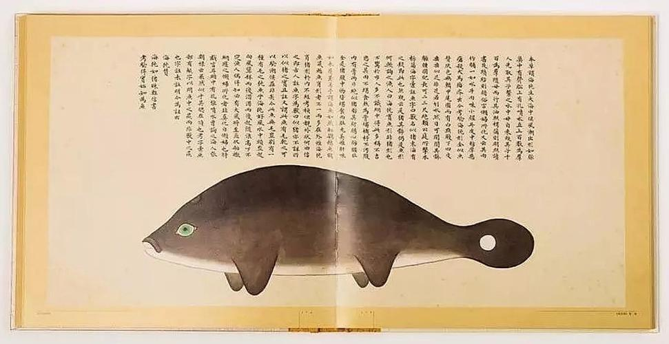 文化中國行 長江之歌丨微笑的江豚，從四千年前“游”來