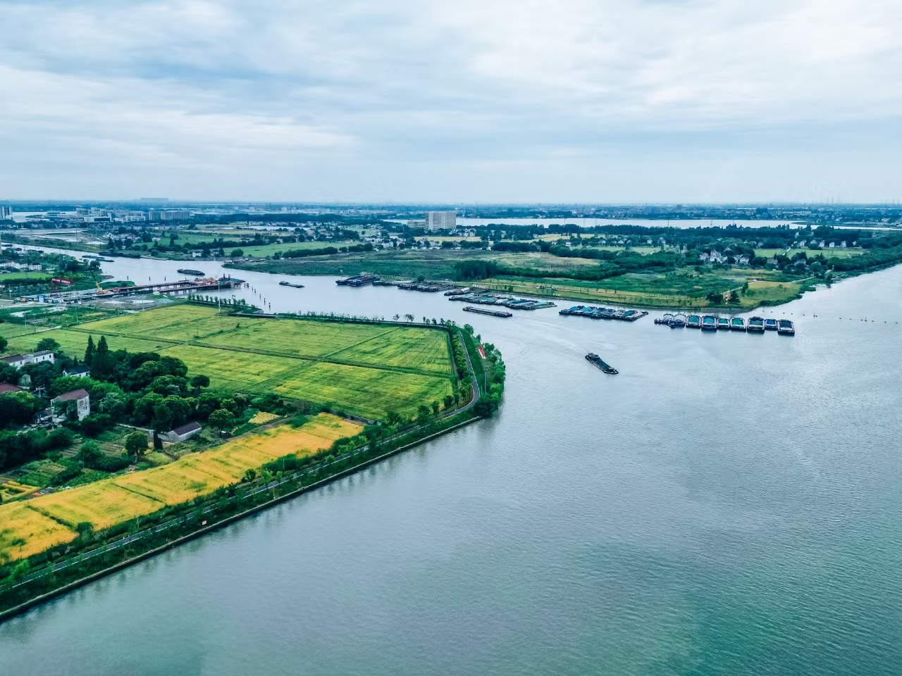 太浦河沿岸好風(fēng)光。吳橫軒攝