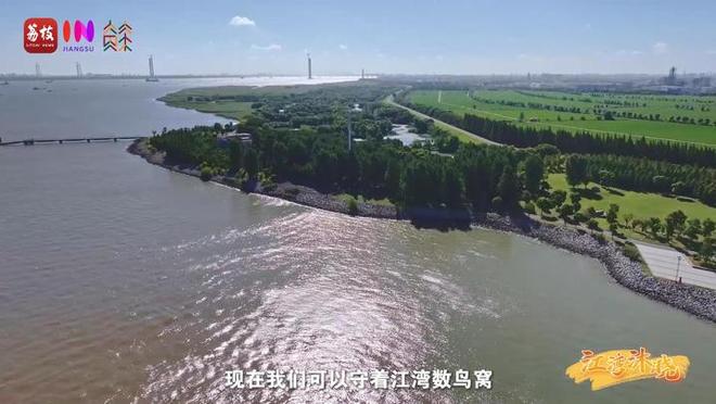 “縣”在起筆 青綠繪江山 | 江灣沐曉：褪去“銹色”走“金線”，繡出生態(tài)與產(chǎn)業(yè)“雙面錦”