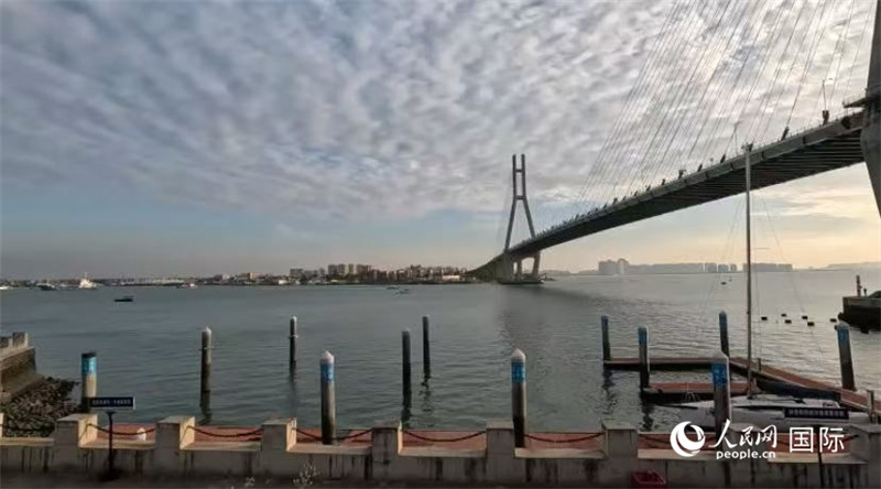 海南省儋州市洋浦大橋。人民網(wǎng) 薩拉·阿芙澤爾攝