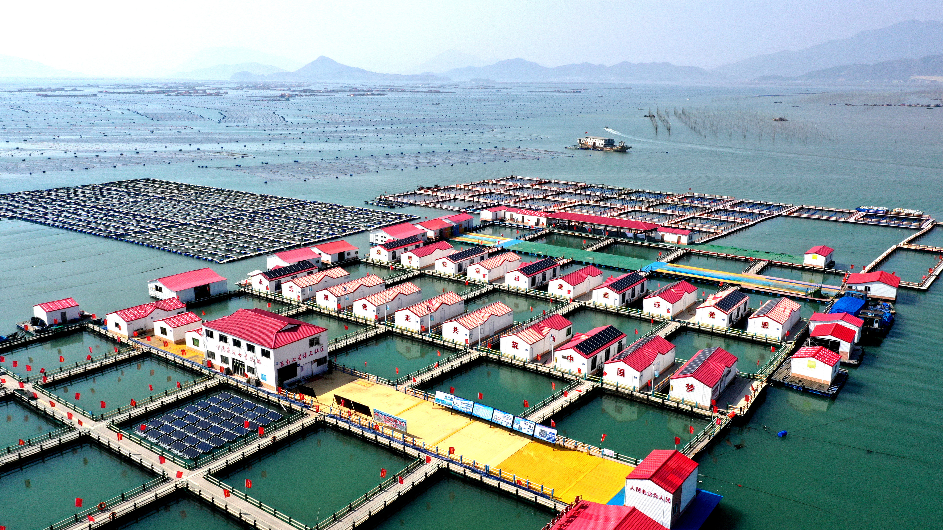 2024年3月20日，福建省寧德市，霞浦縣溪南鎮(zhèn)七星村漁排養(yǎng)殖示范區(qū)，漁民駕駛養(yǎng)殖船進行海參養(yǎng)殖作業(yè)。