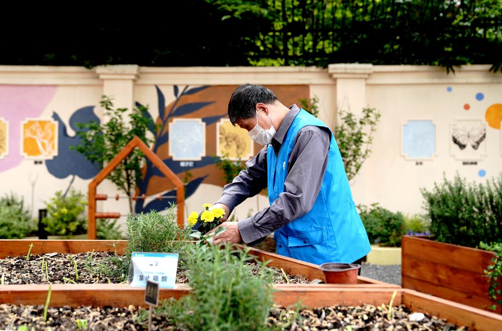 上海市長(zhǎng)寧區(qū)虹旭小區(qū)居民在整理改造社區(qū)花園。居民們把堆肥箱里發(fā)酵出來的“綠色材料”和土壤拌在一起鋪在種植箱中（2020年4月22日攝）。新華社記者 張建松 攝