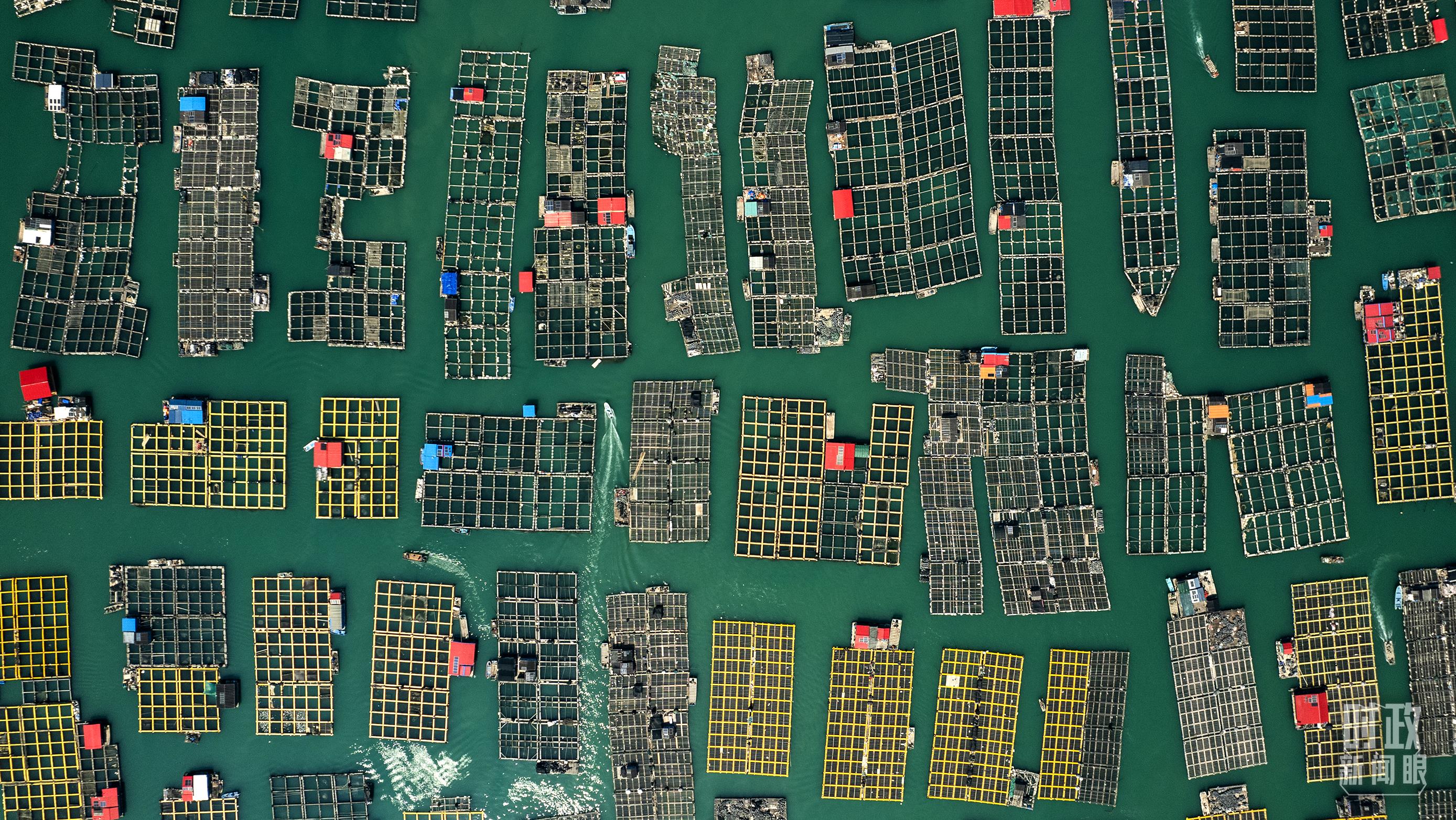 △澳角村。（總臺記者李晉拍攝）