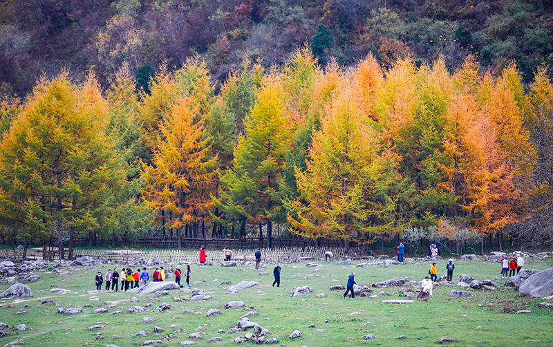 2023年10月27日，深秋時(shí)節(jié)的陜西秦嶺太子嶺漫山紅黃、色彩交織，進(jìn)入最佳觀賞期。