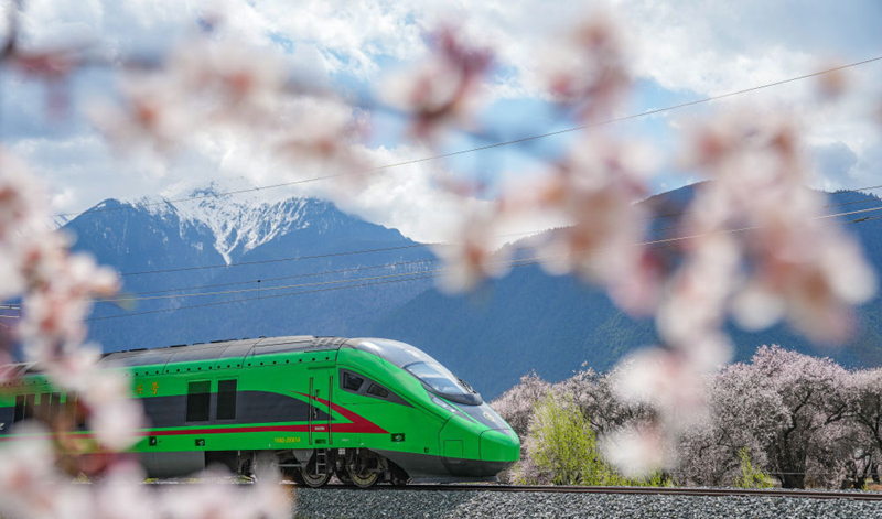 2025年4月2日，復(fù)興號(hào)列車穿行在拉林鐵路林芝段。