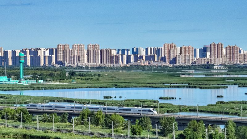 2025年8月17日，一列動車組列車駛過大慶東站。