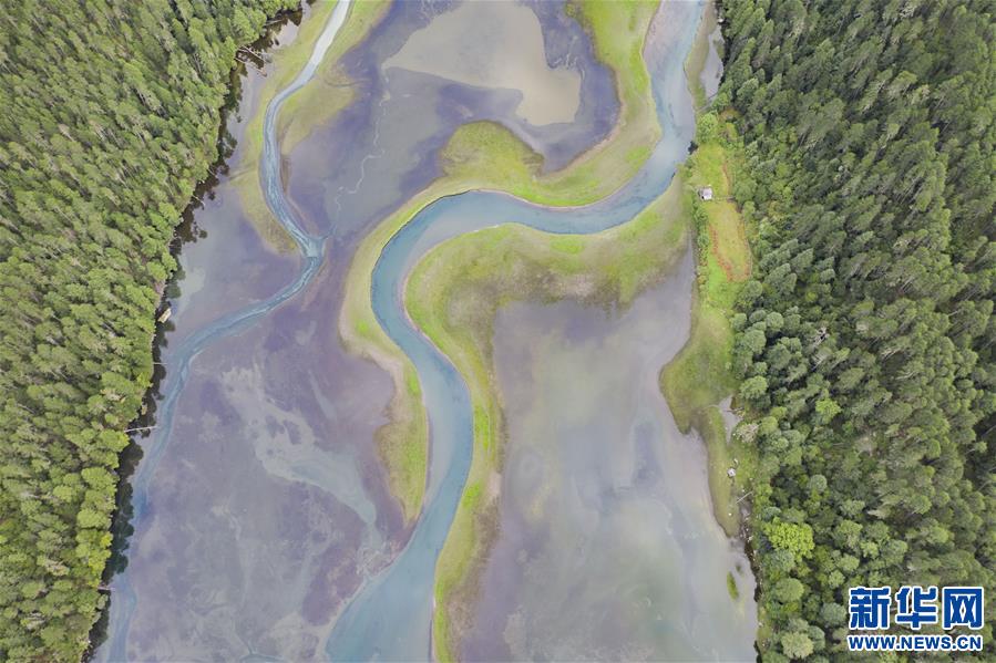 (新華視界)(2)隱秘的高原草湖
