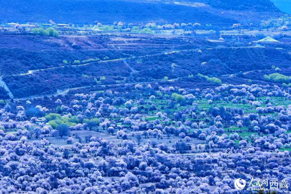 遠(yuǎn)眺“桃花村”。人民網(wǎng) 李海霞攝