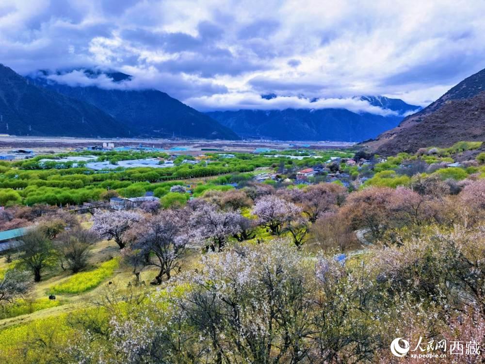 桃花從中的“童話小鎮(zhèn)”。人民網(wǎng) 李海霞攝