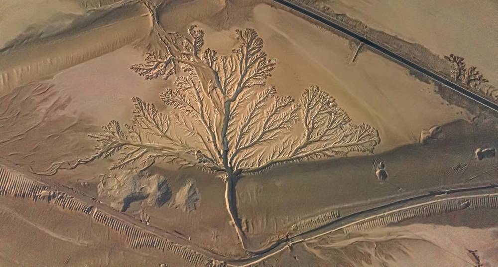 壯觀的“大地之樹”。邊巴多吉攝