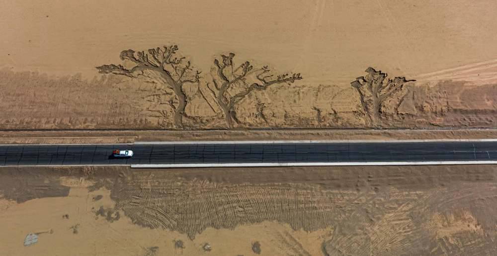 位于國道216沿線的“大地之樹”。邊巴多吉攝